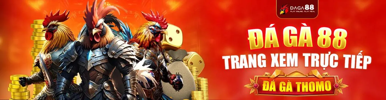 Sân vận động thể thao sôi động, cá cược thể thao zz88 game 2026